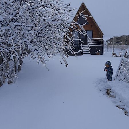 Thomas' Hut Apartment คัซเบกี ภายนอก รูปภาพ