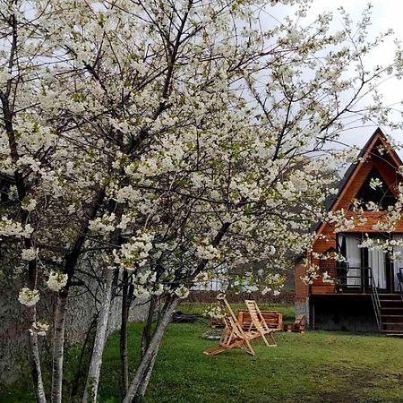 Thomas' Hut Apartment คัซเบกี ภายนอก รูปภาพ