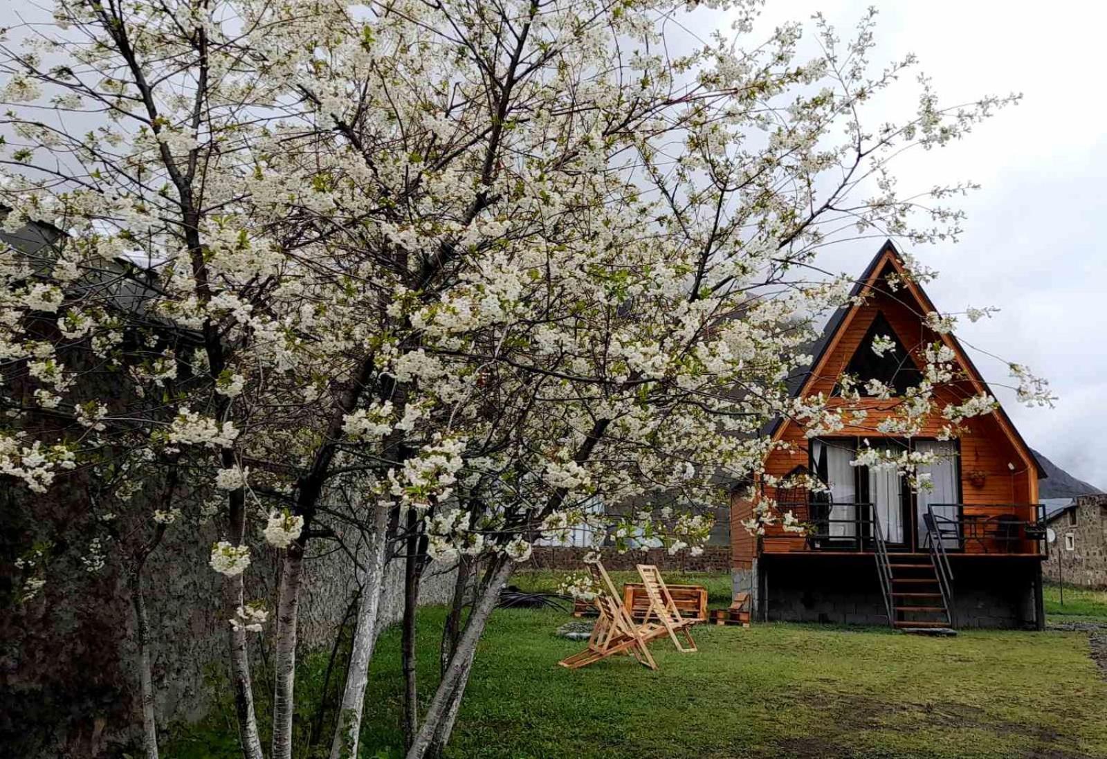 Thomas' Hut Apartment คัซเบกี ภายนอก รูปภาพ